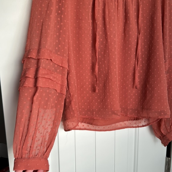 Loft burnt orange rust long sleeve chiffon dot frill V neck blouse size small. - Picture 2 of 9
